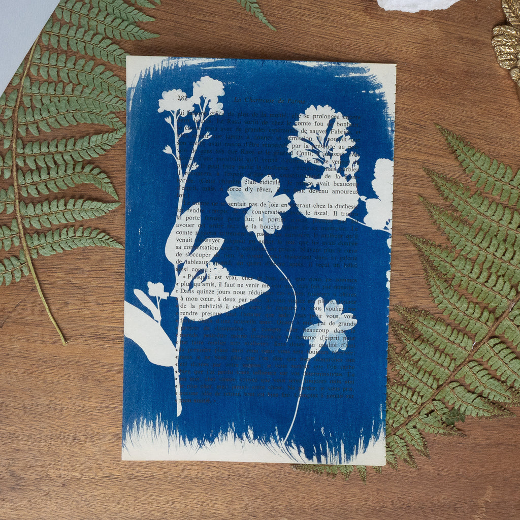 Cyanotype sur livre - Botanique - La Chartreuse de Parme
