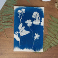 Cyanotype sur livre - Botanique - La Chartreuse de Parme