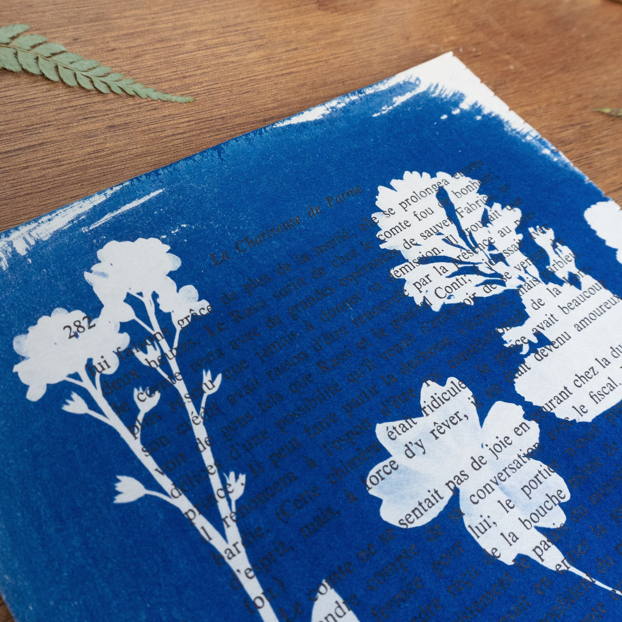 Cyanotype sur livre - Botanique - La Chartreuse de Parme