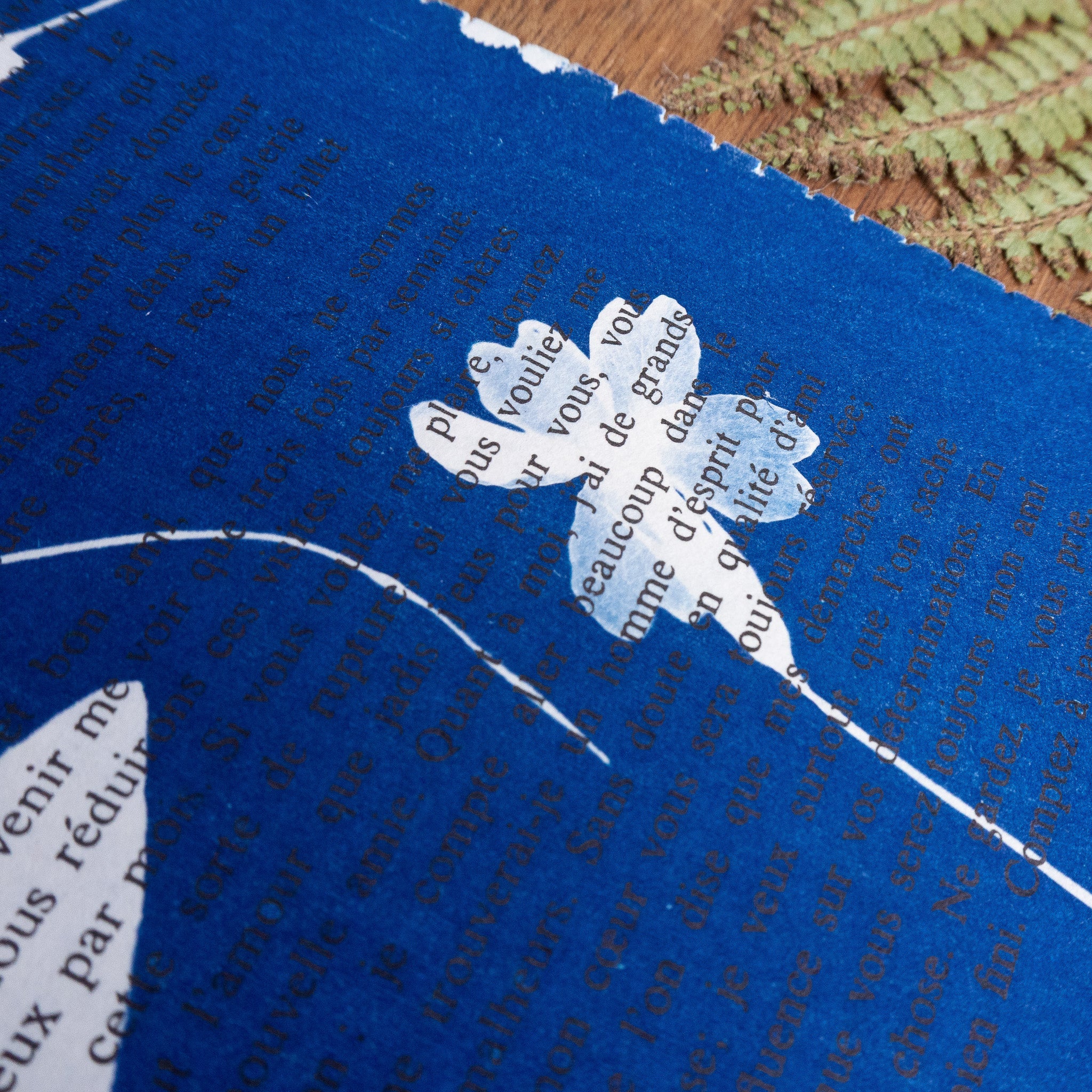 Cyanotype sur livre - Botanique - La Chartreuse de Parme