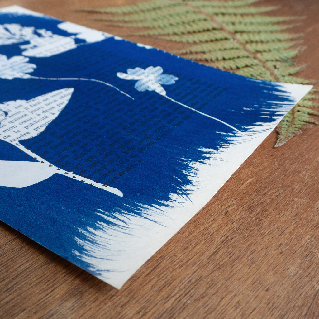 Cyanotype sur livre - Botanique - La Chartreuse de Parme