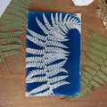 Cyanotype sur livre - Fougère enroulée - La Chartreuse de Parme