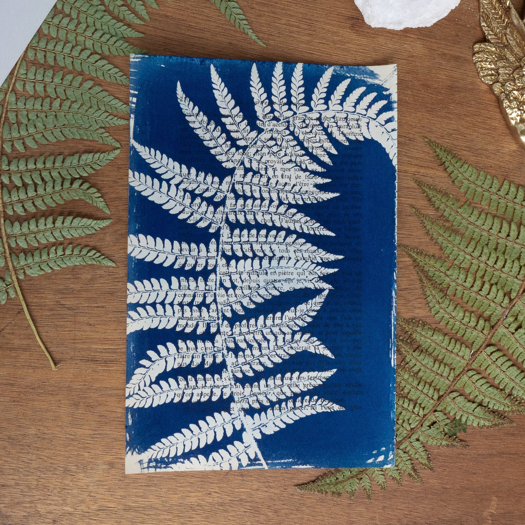 Cyanotype sur livre - Fougère enroulée - La Chartreuse de Parme