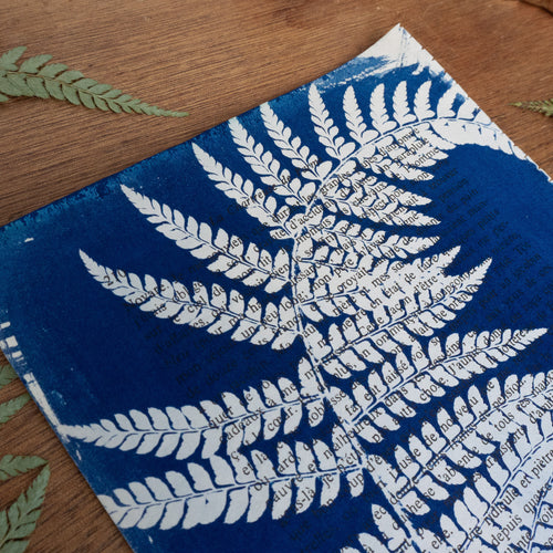 Cyanotype on book - Curled fern - The Charterhouse of Parma
