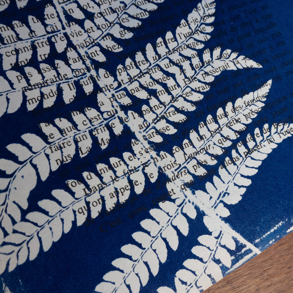 Cyanotype sur livre - Fougère enroulée - La Chartreuse de Parme