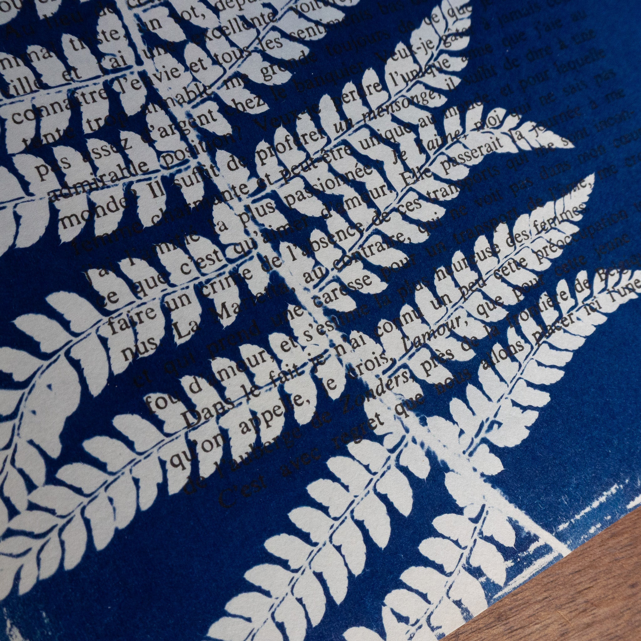 Cyanotype sur livre - Fougère enroulée - La Chartreuse de Parme