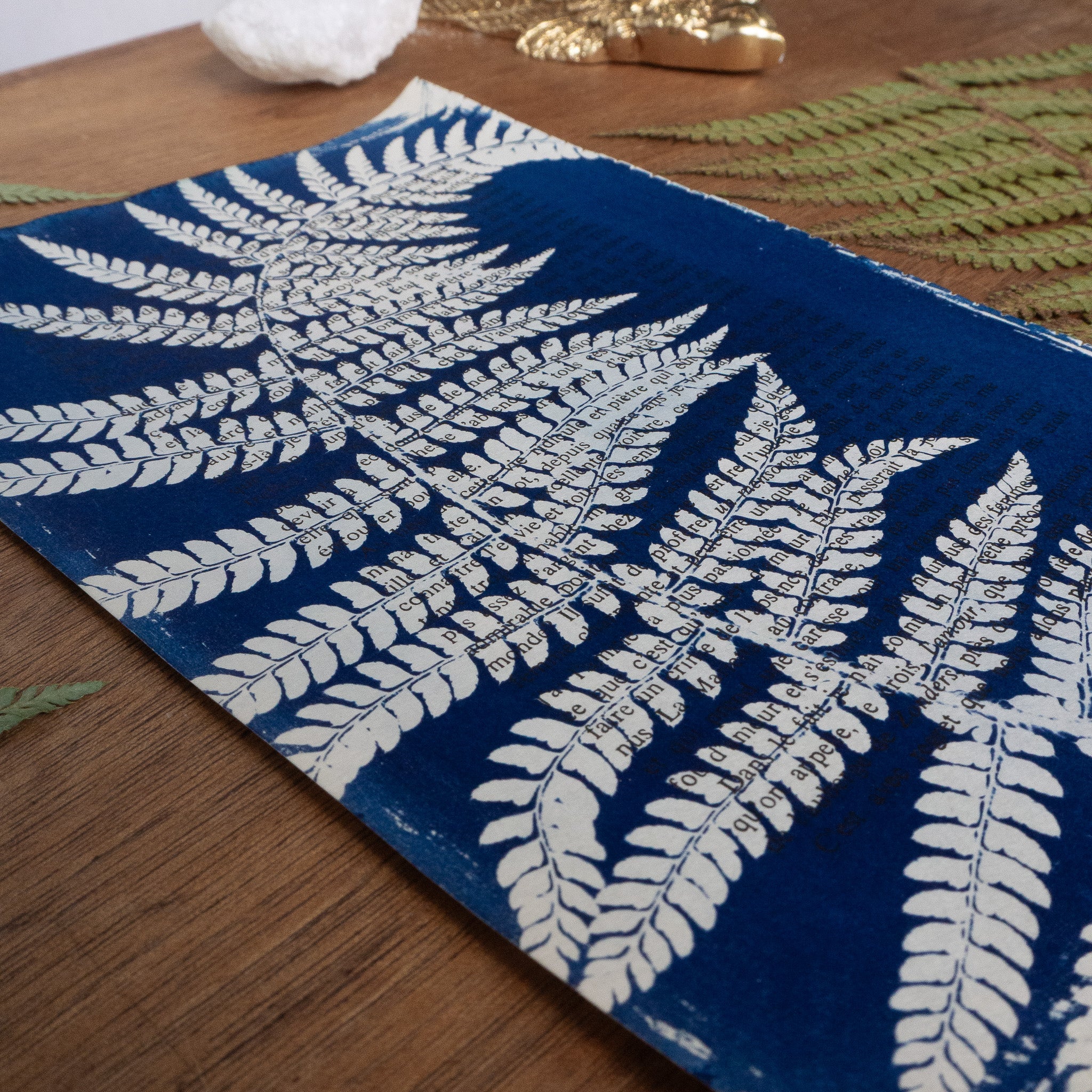 Cyanotype sur livre - Fougère enroulée - La Chartreuse de Parme
