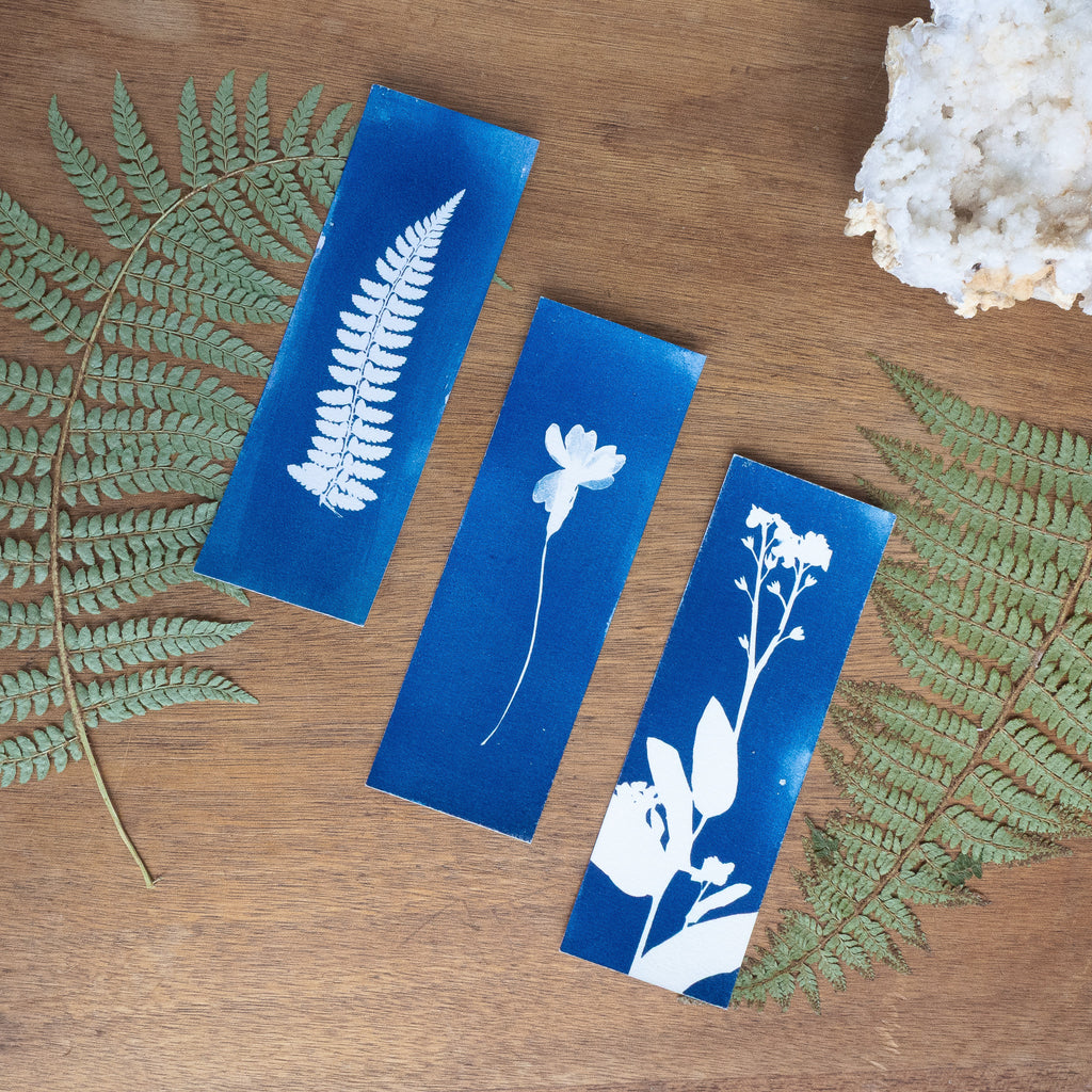 Set de 3 Marques-page - Plantes sur cyanotype original