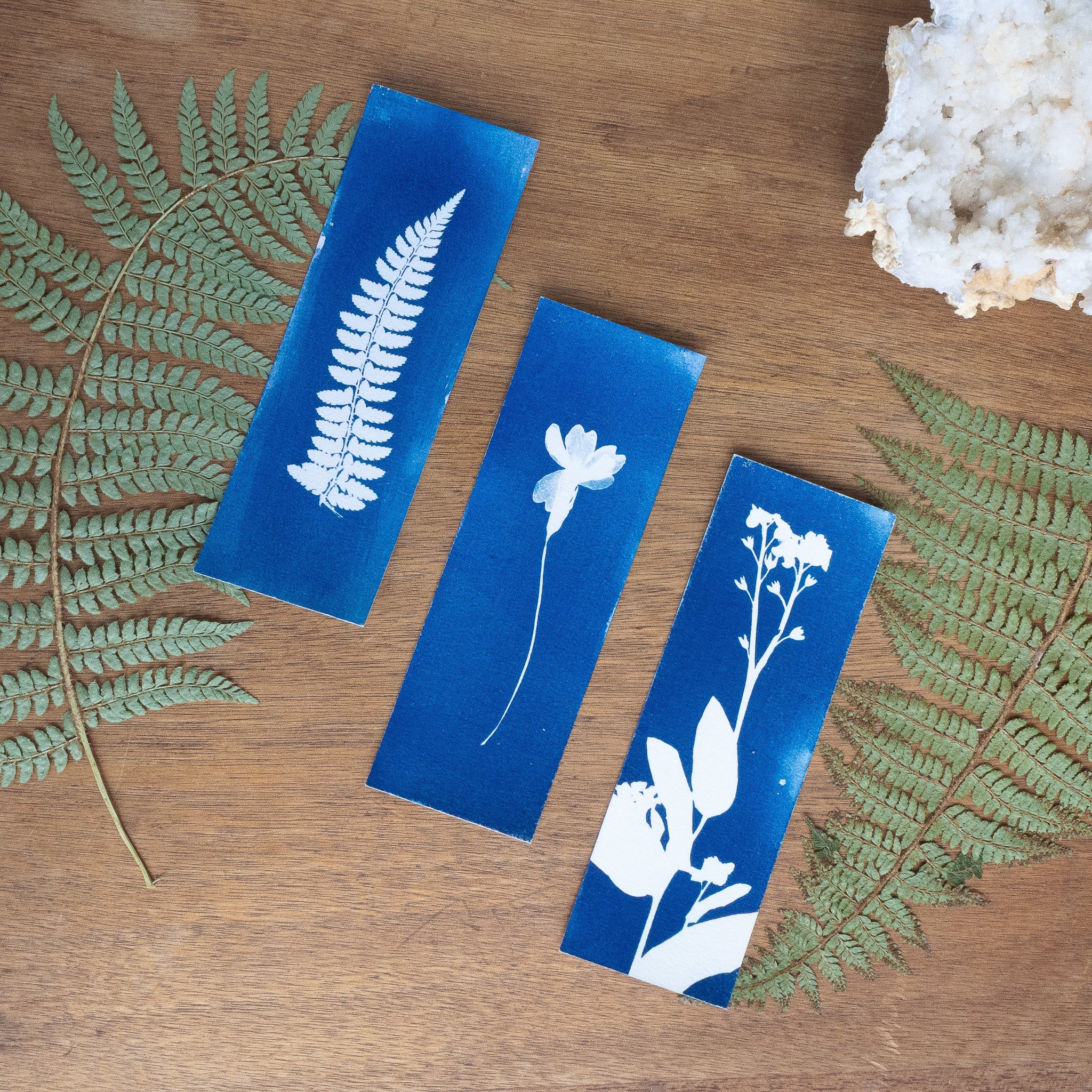 Set de 3 Marques-page - Plantes sur cyanotype original
