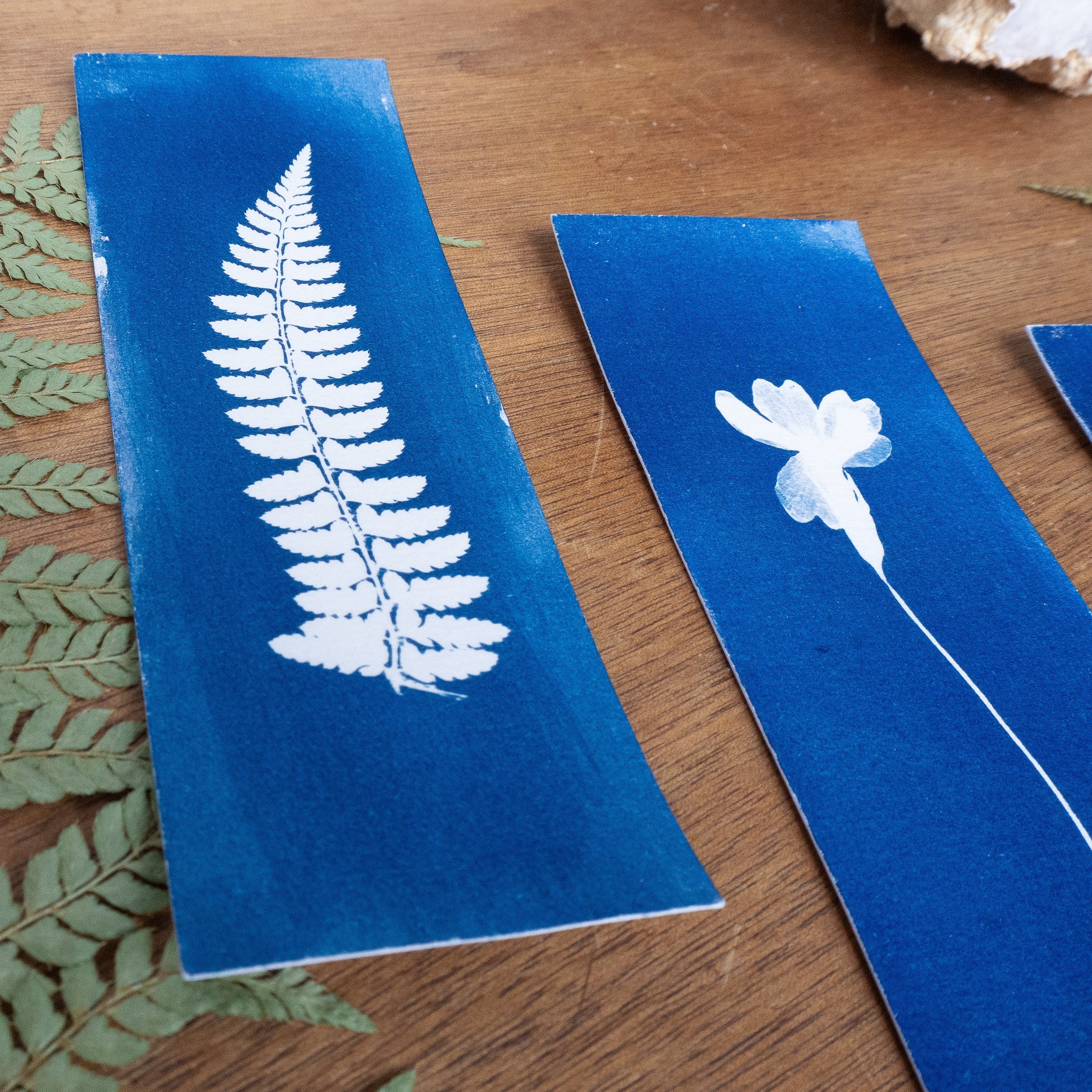 Set de 3 Marques-page - Plantes sur cyanotype original