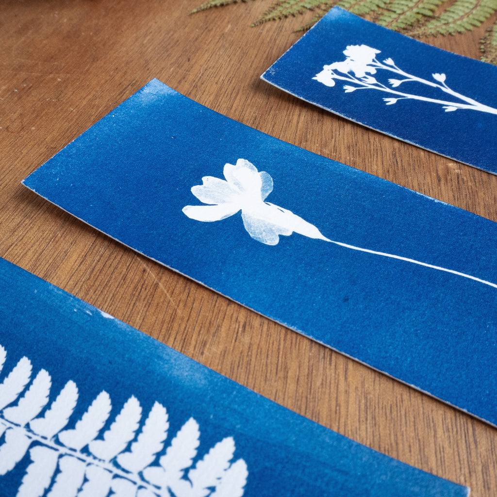 Set de 3 Marques-page - Plantes sur cyanotype original