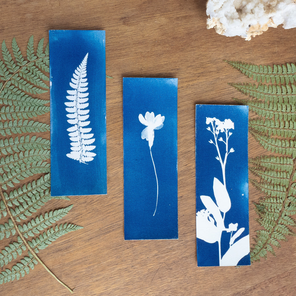Set de 3 Marques-page - Plantes sur cyanotype original