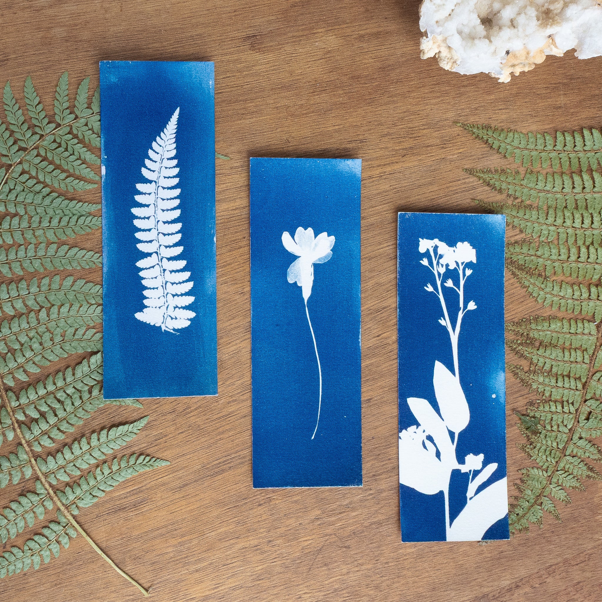 Set de 3 Marques-page - Plantes sur cyanotype original