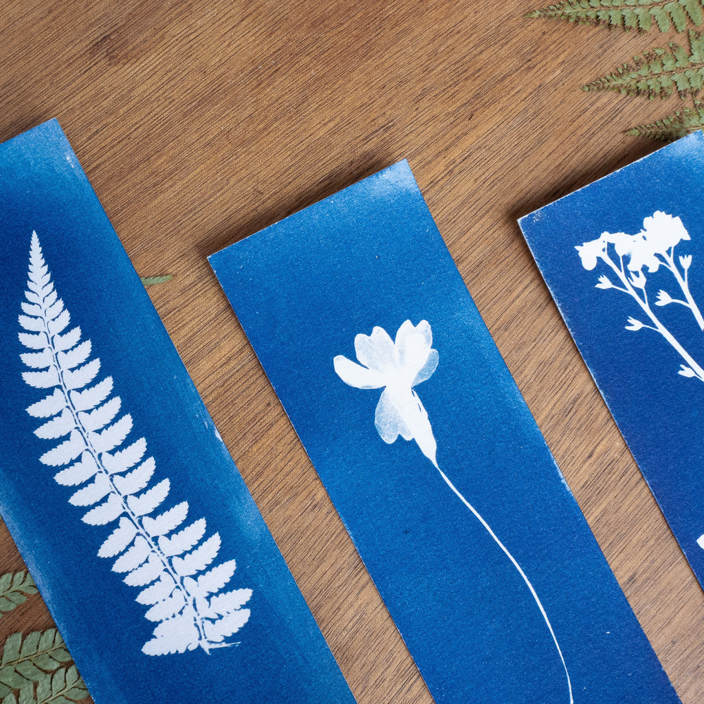 Set de 3 Marques-page - Plantes sur cyanotype original