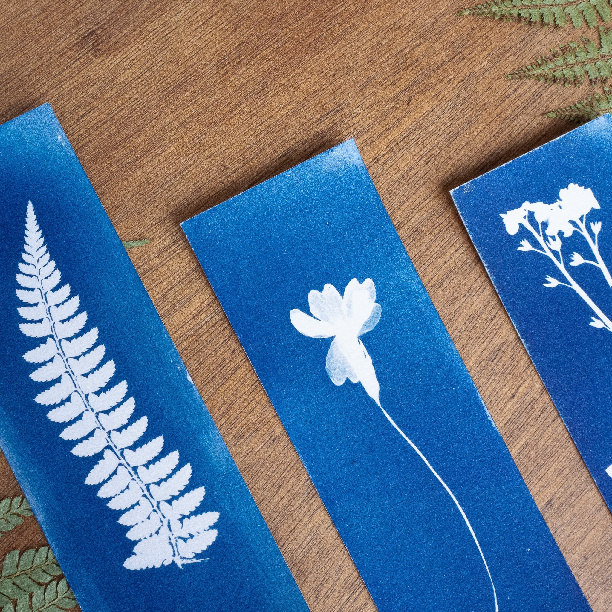 Set de 3 Marques-page - Plantes sur cyanotype original