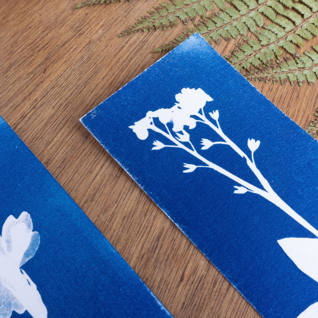 Set de 3 Marques-page - Plantes sur cyanotype original