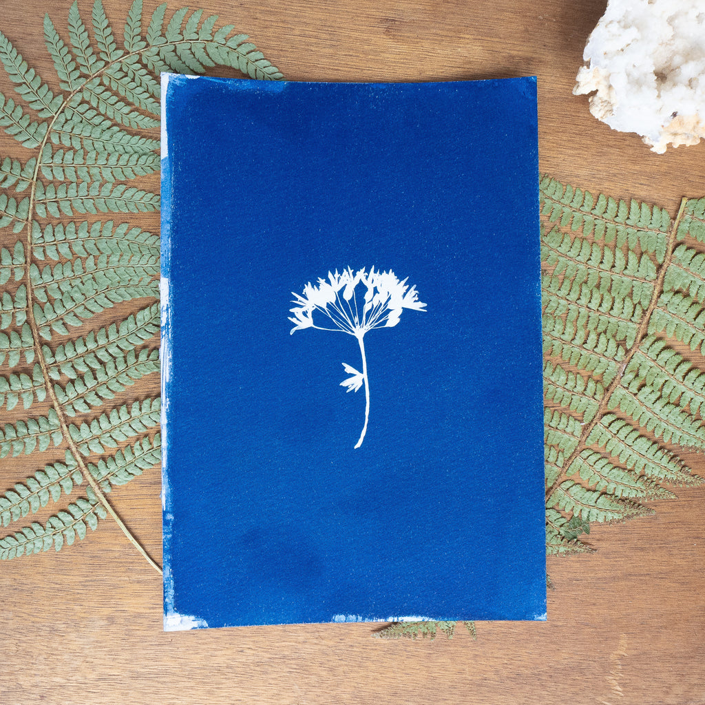 Bleue velours - Tirage cyanotype original