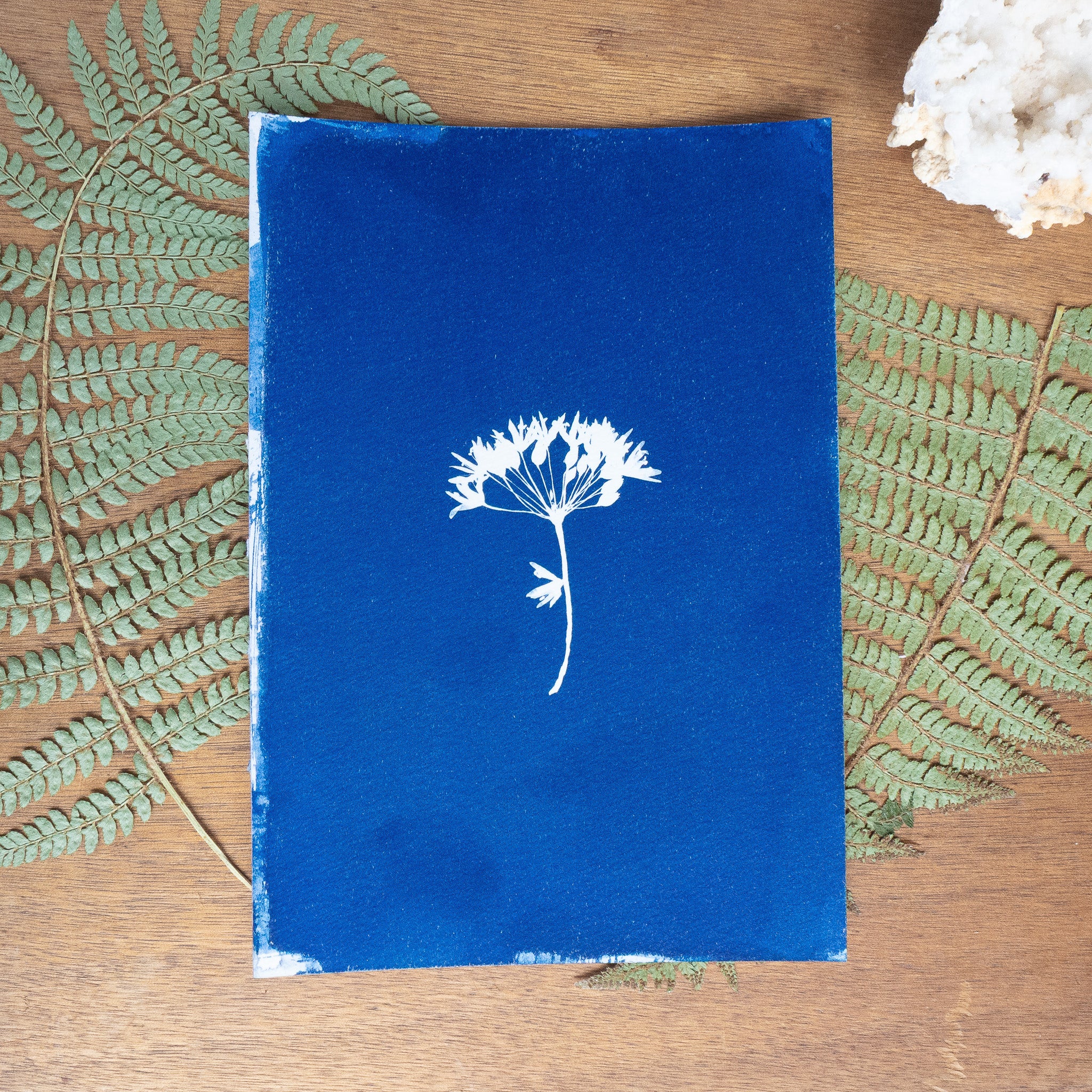 Bleue velours - Tirage cyanotype original