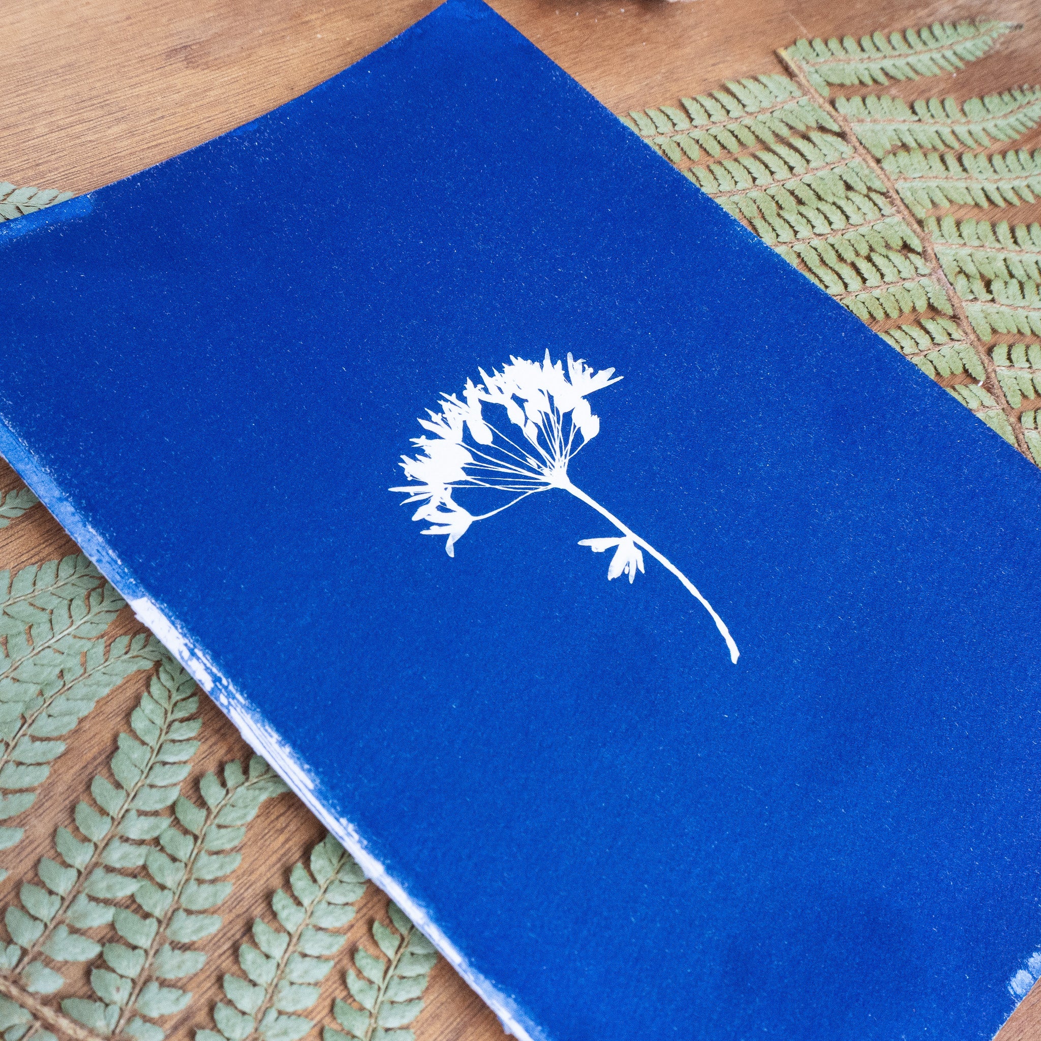 Bleue velours - Tirage cyanotype original