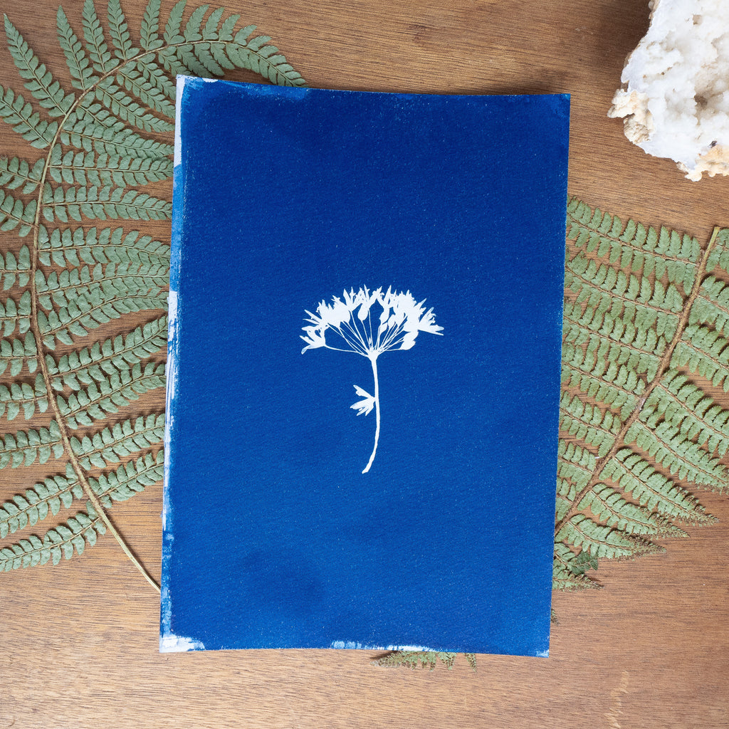 Bleue velours - Tirage cyanotype original
