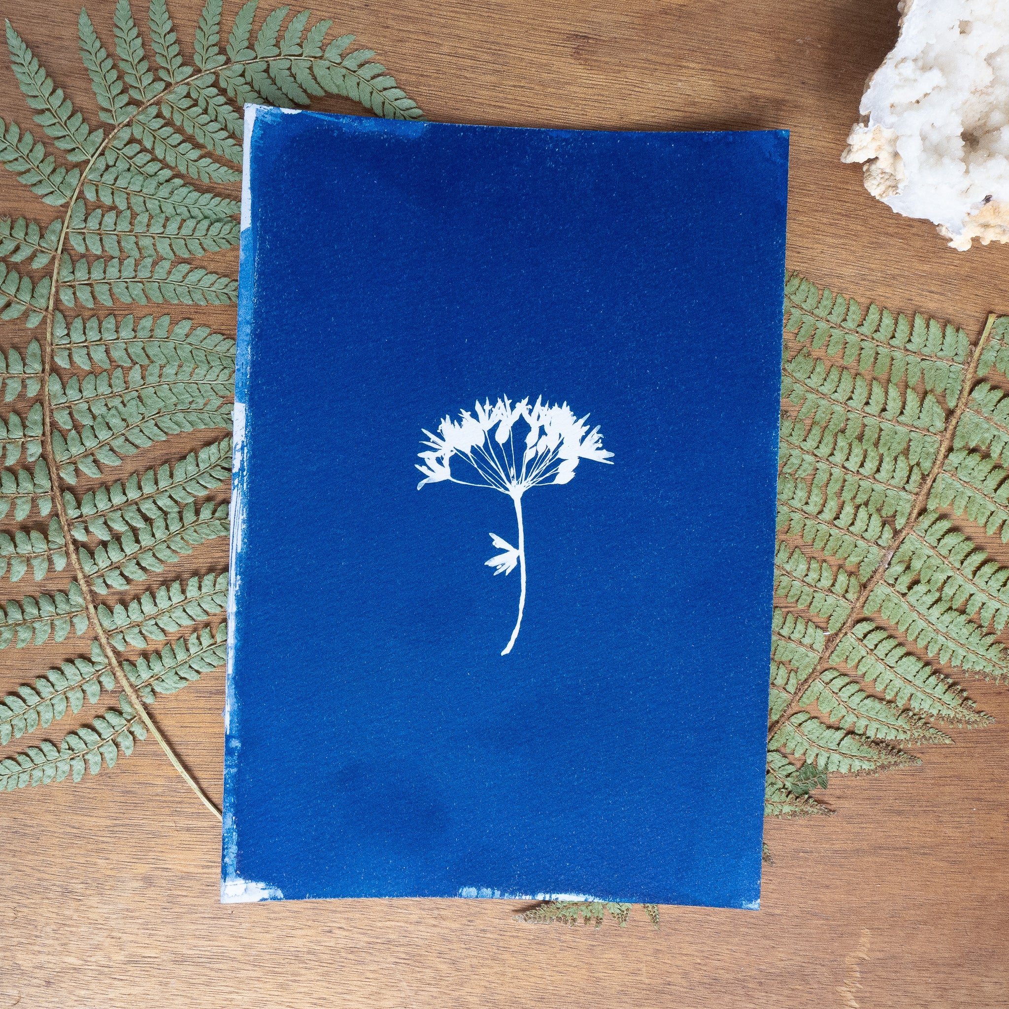 Bleue velours - Tirage cyanotype original