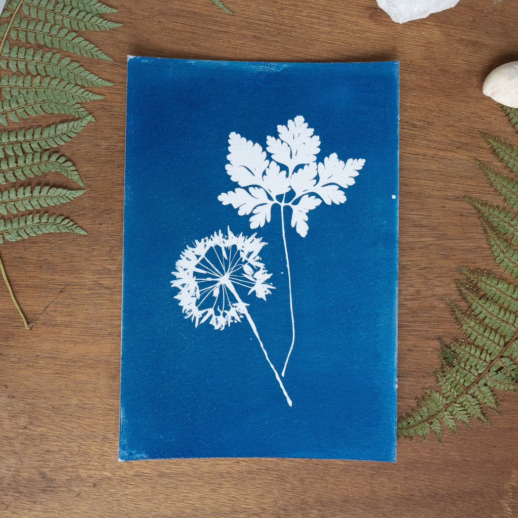 Les immobiles - Tirage cyanotype original