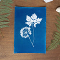Les immobiles - Tirage cyanotype original