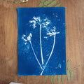 Elégante explosion - Tirage cyanotype humide original