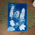 Trio végétal - Tirage cyanotype humide original