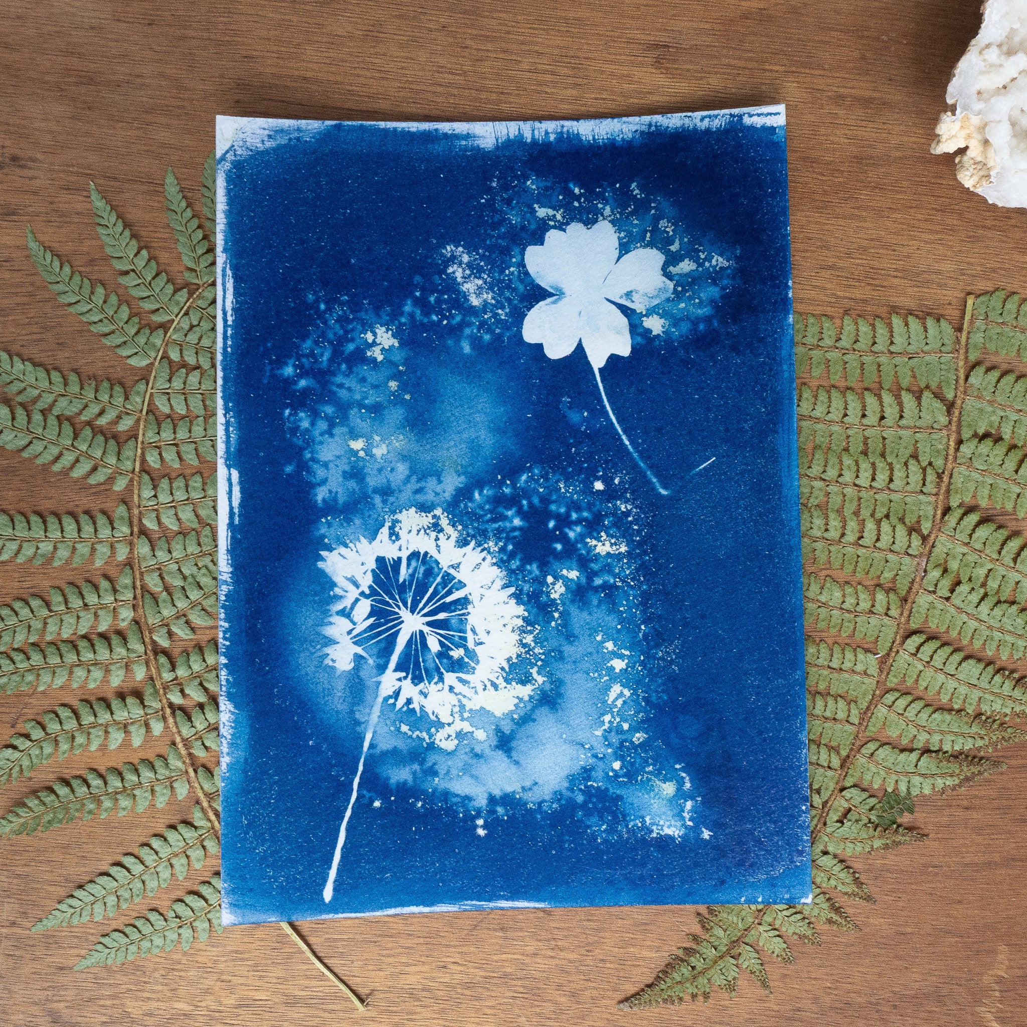 Brume sauvage - Tirage cyanotype humide original