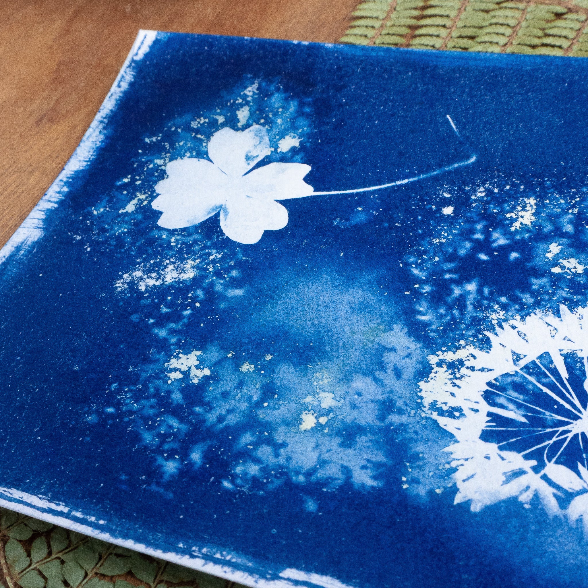 Brume sauvage - Tirage cyanotype humide original