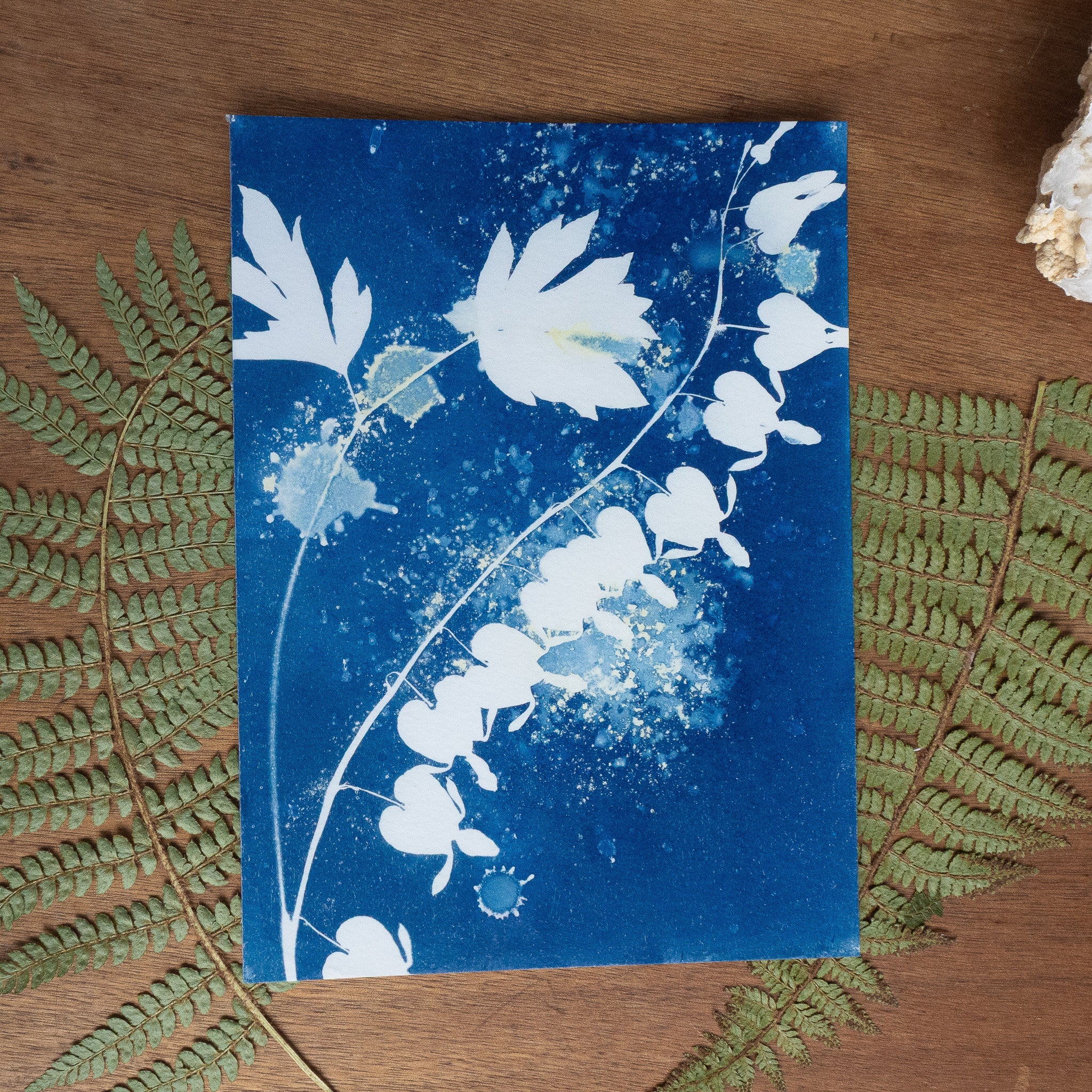 Cœur de Marie - Tirage cyanotype humide original