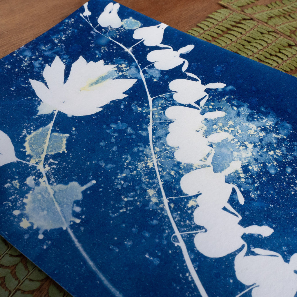 Cœur de Marie - Tirage cyanotype humide original