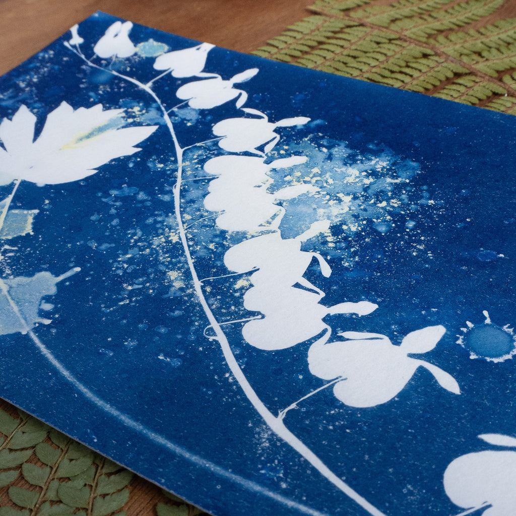 Cœur de Marie - Tirage cyanotype humide original