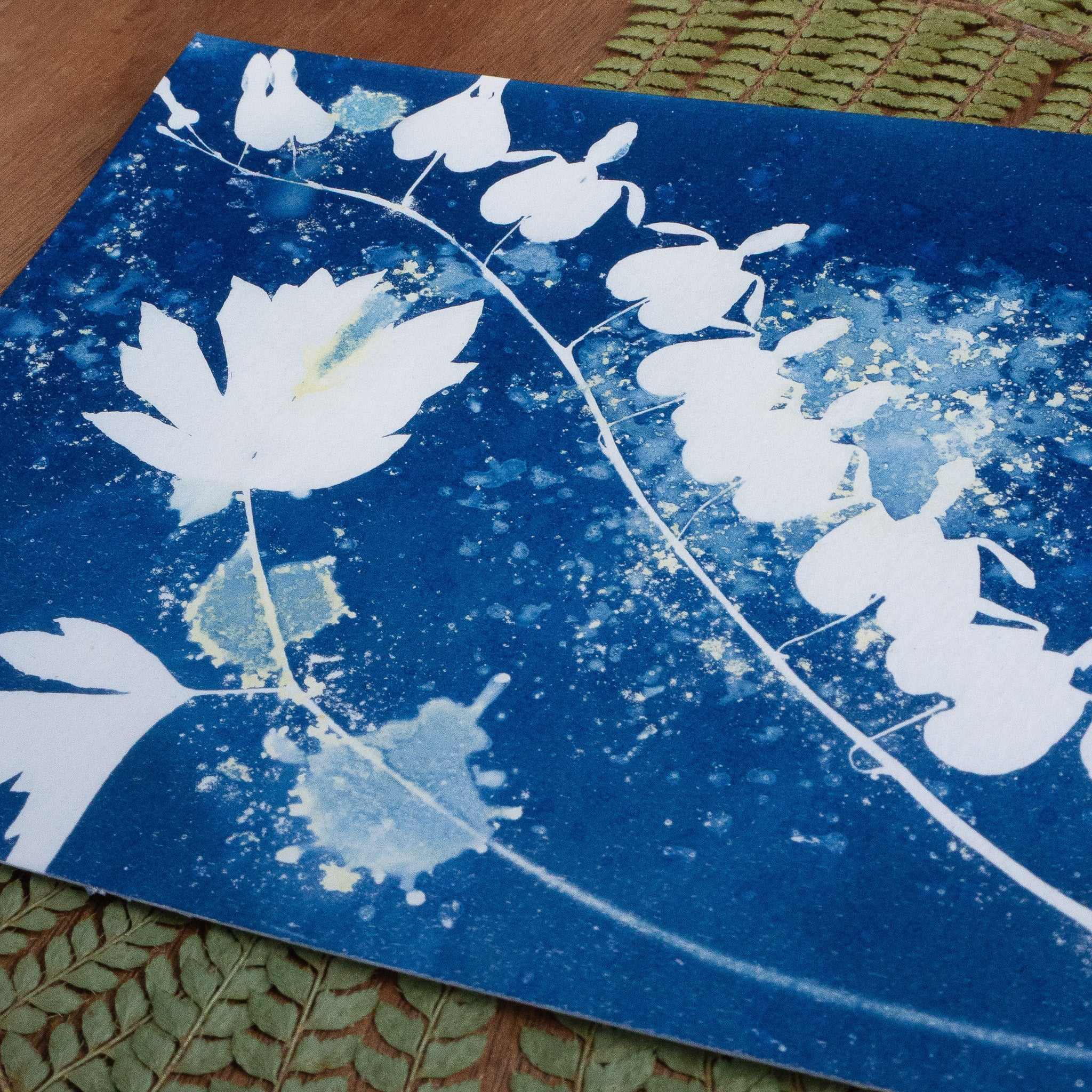 Cœur de Marie - Tirage cyanotype humide original