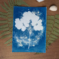 Bleu fragile - Tirage cyanotype humide original