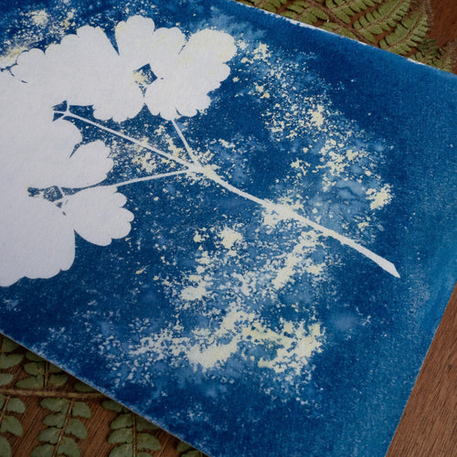 Bleu fragile - Tirage cyanotype humide original