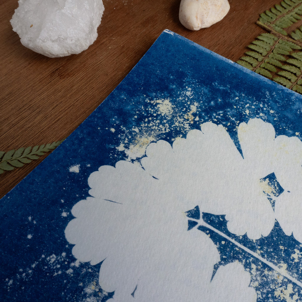 Bleu fragile - Tirage cyanotype humide original