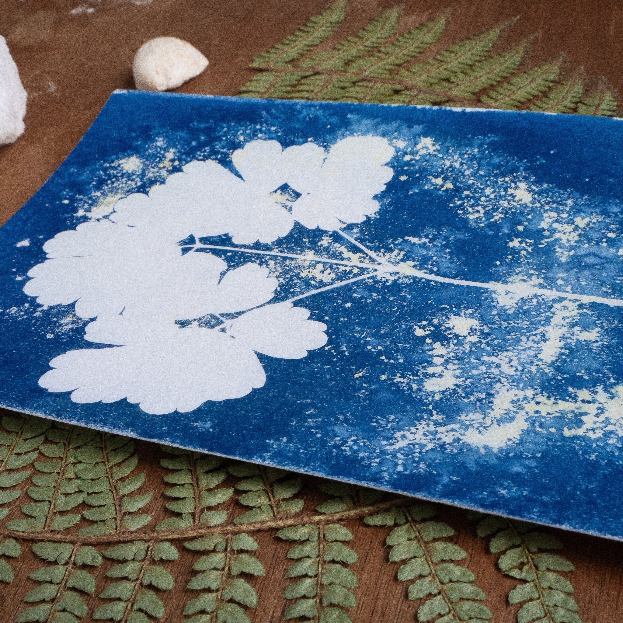 Bleu fragile - Tirage cyanotype humide original