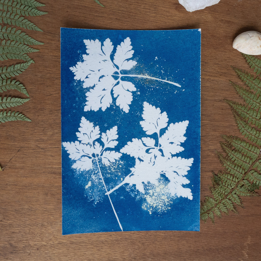 Petites empreintes - Tirage cyanotype humide original