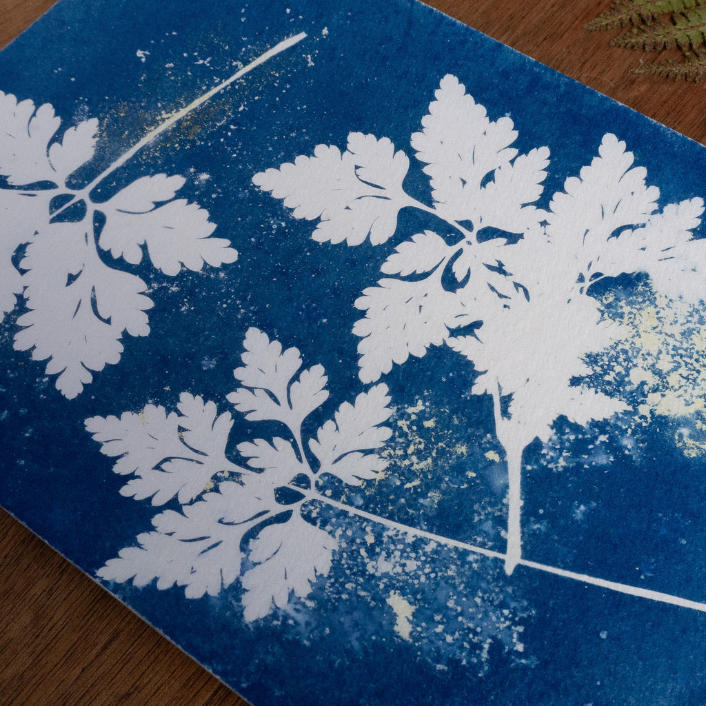 Petites empreintes - Tirage cyanotype humide original