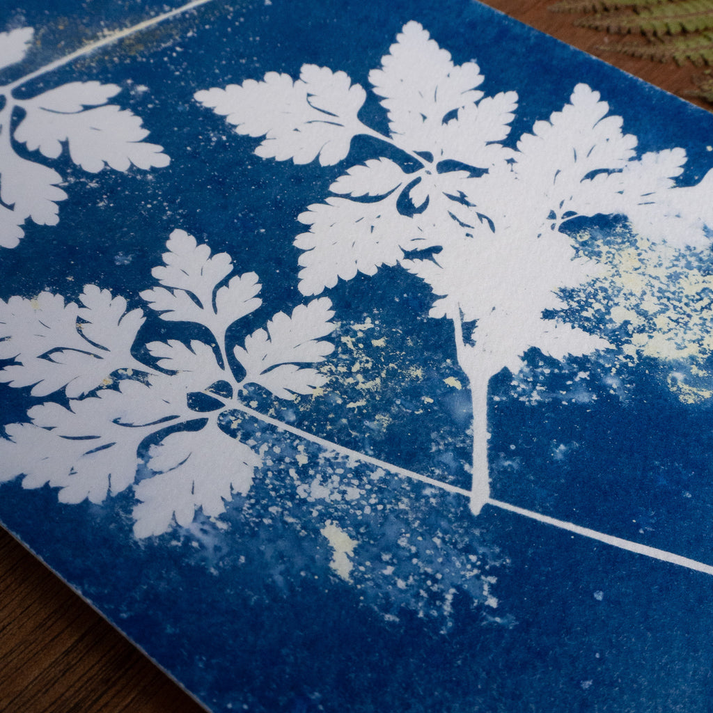 Petites empreintes - Tirage cyanotype humide original