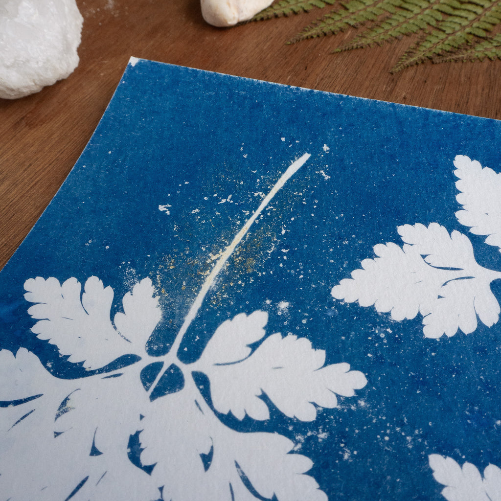 Petites empreintes - Tirage cyanotype humide original