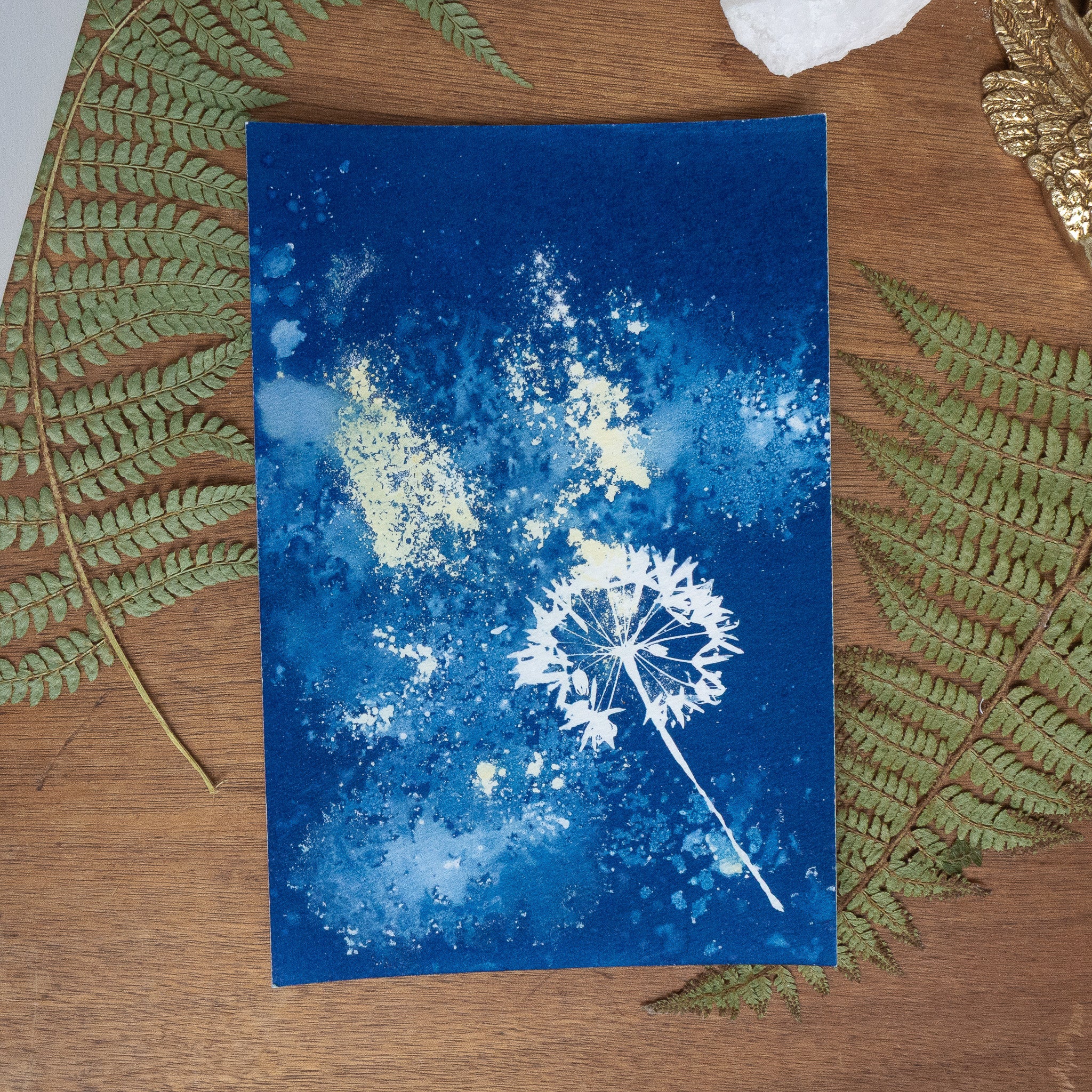 Ombelle de printemps - Tirage cyanotype humide original