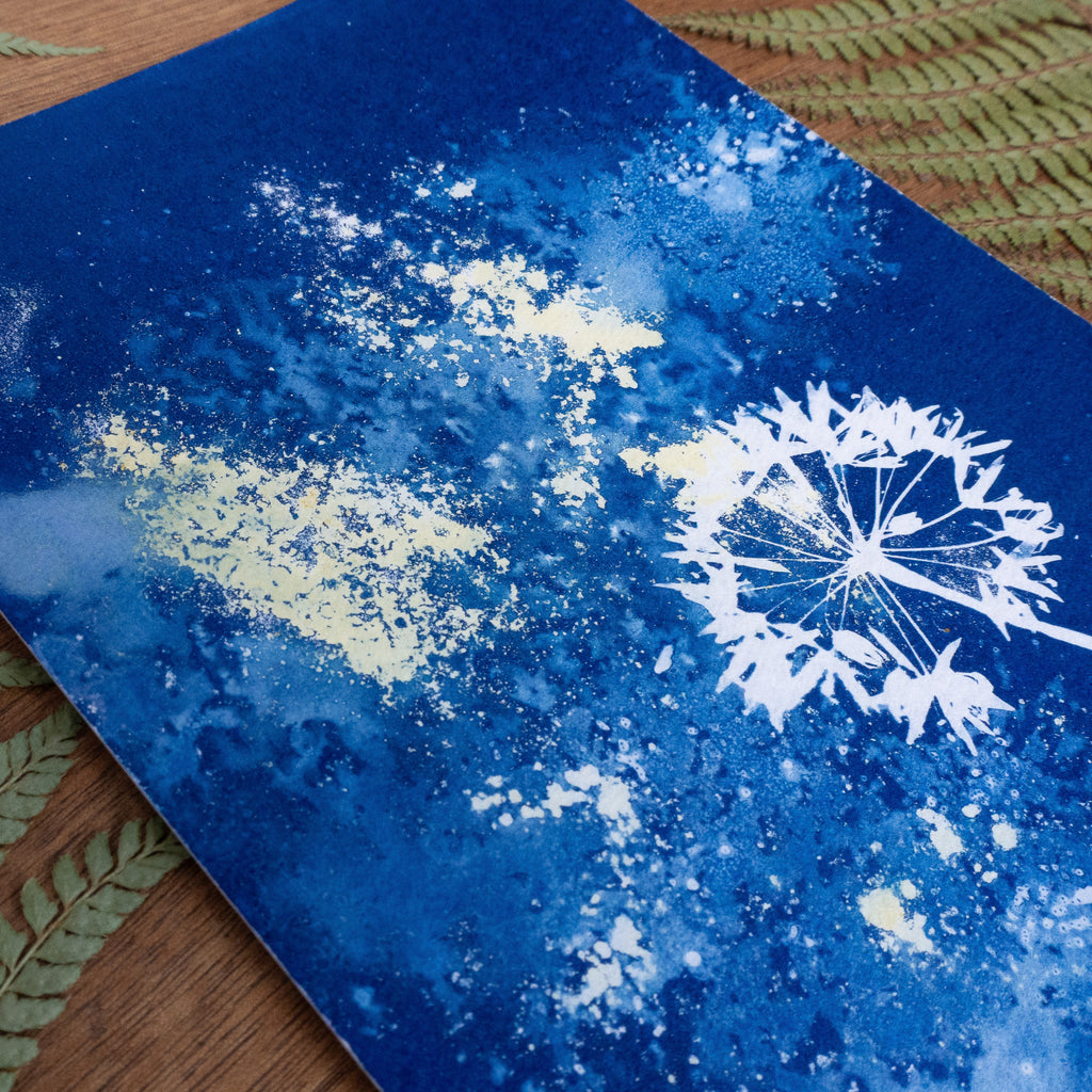 Ombelle de printemps - Tirage cyanotype humide original