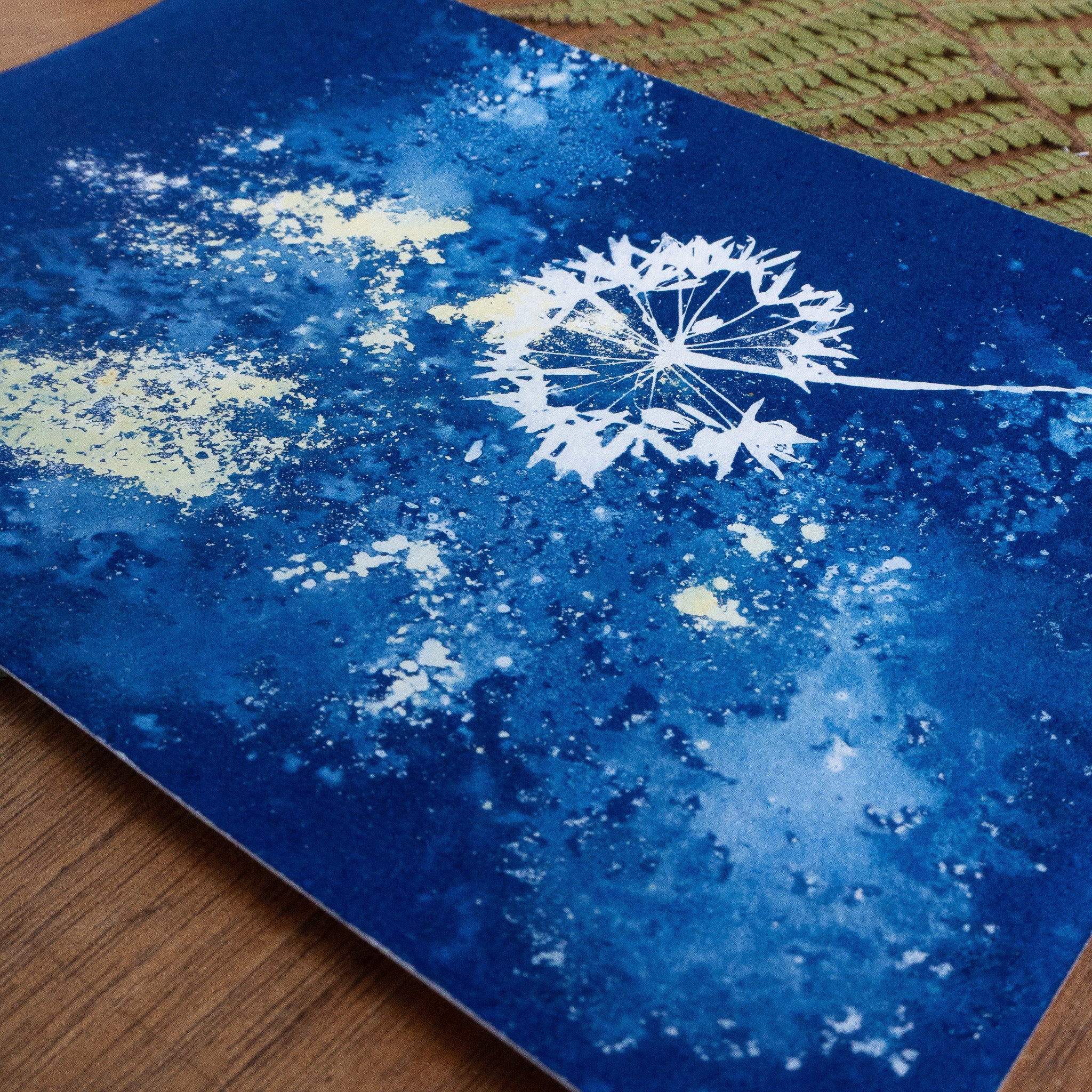 Ombelle de printemps - Tirage cyanotype humide original