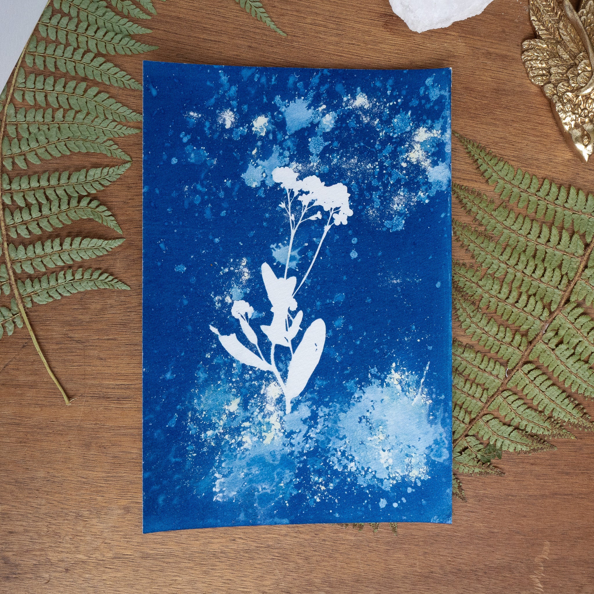 Floraison Bleue - Tirage cyanotype humide original