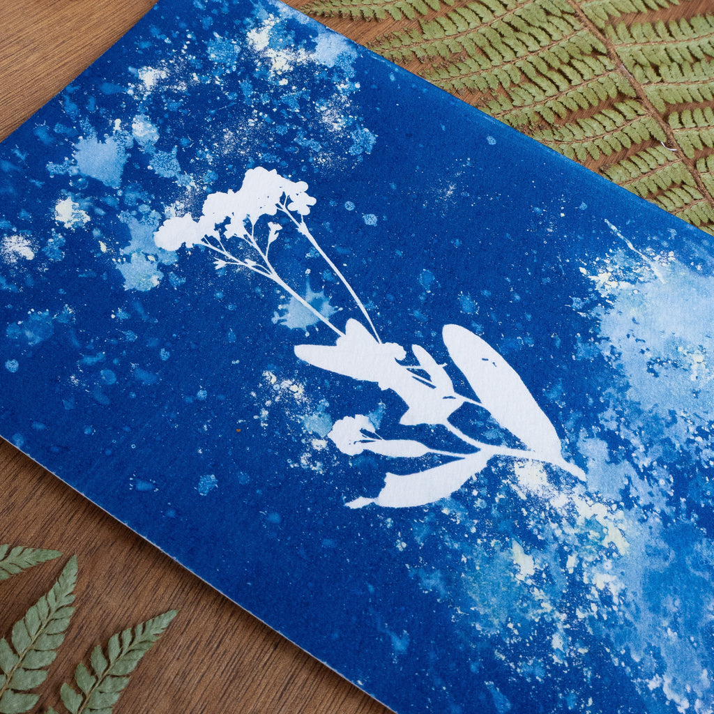 Floraison Bleue - Tirage cyanotype humide original