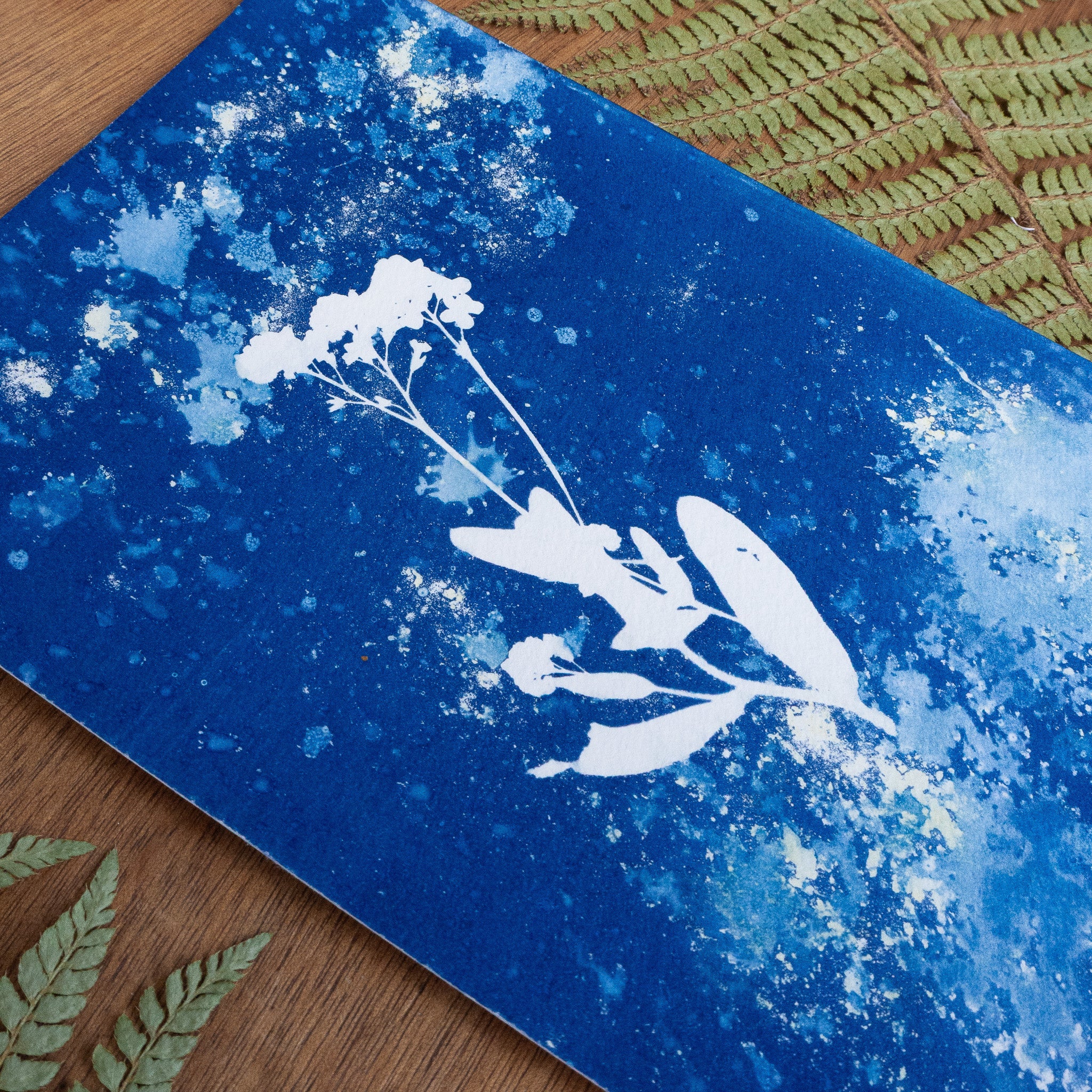 Floraison Bleue - Tirage cyanotype humide original