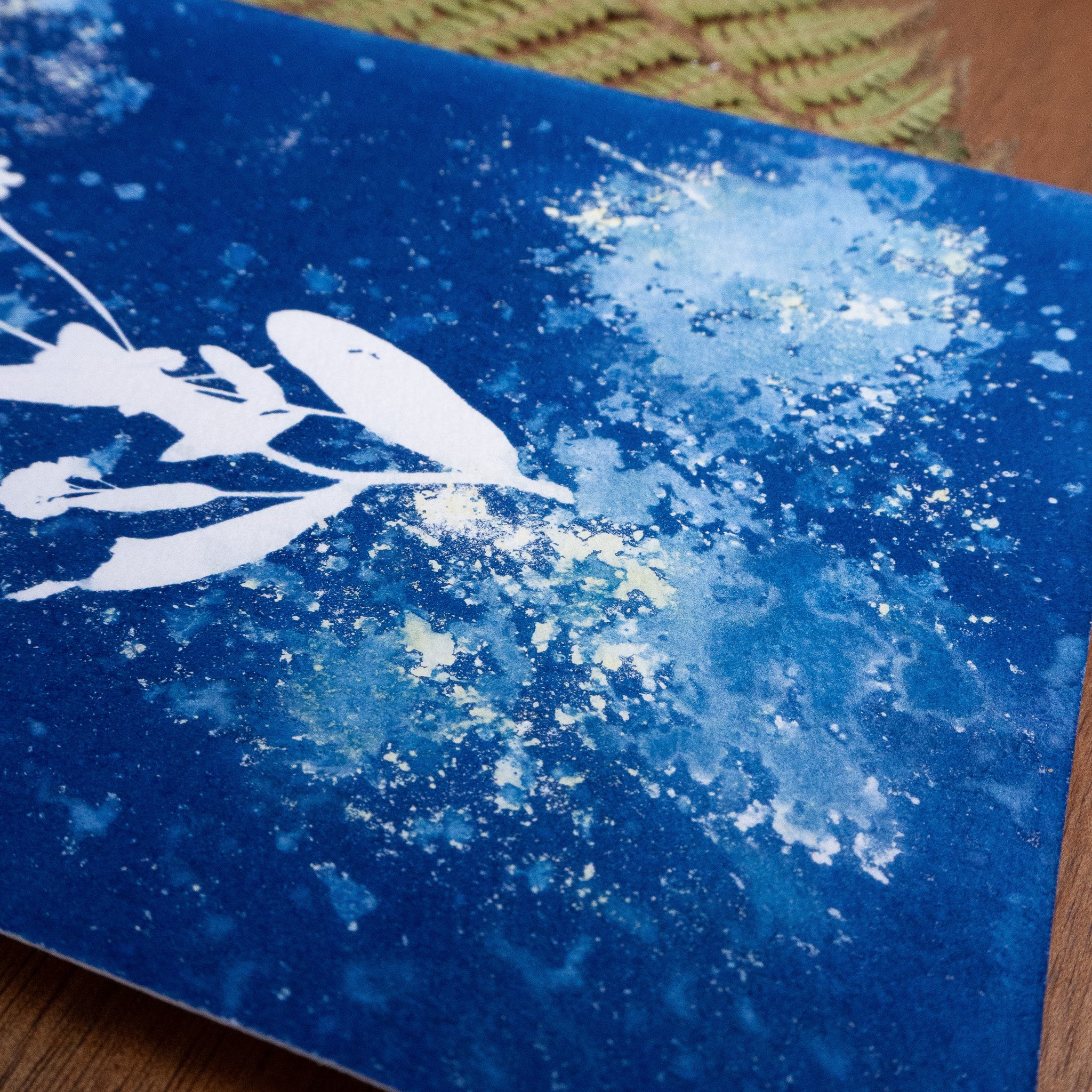 Floraison Bleue - Tirage cyanotype humide original
